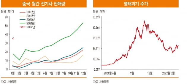 ″완성차보다 전기차 부품에 투자를…中 영태과기 '찜'″