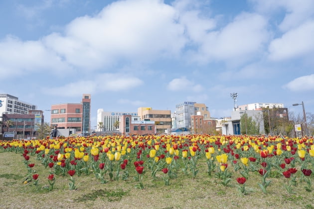 '제주'다움에 취하다 