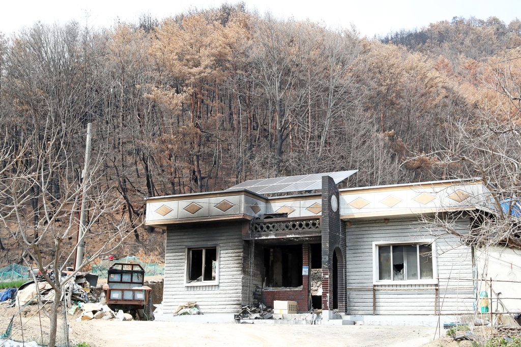 [동해안산불 한달] ① 검게 변한 산, 방치된 밭…생동감 잃은 울진