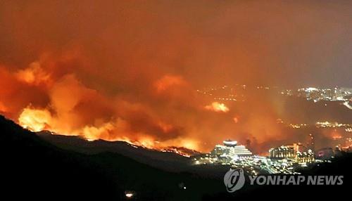 [동해안산불 한달] ⑨ '반면교사' 삼는다…20년 지나도 회복 안 돼(끝)