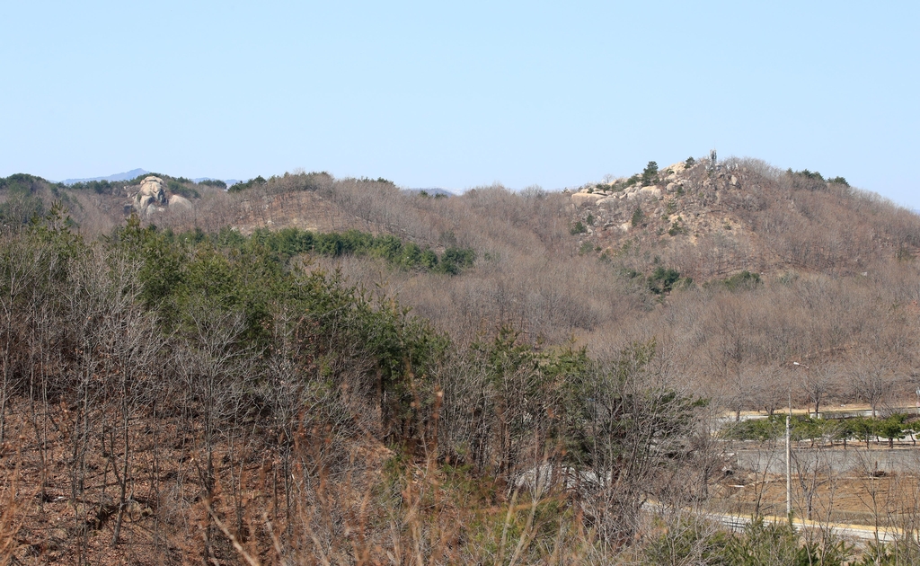 [동해안산불 한달] ⑨ '반면교사' 삼는다…20년 지나도 회복 안 돼(끝)