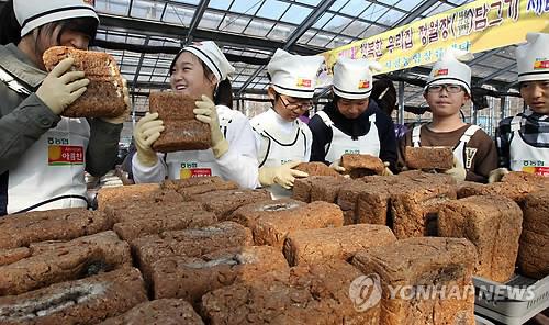 익산시, 농촌휴양마을 숙박비·체험비 1만원씩 지원