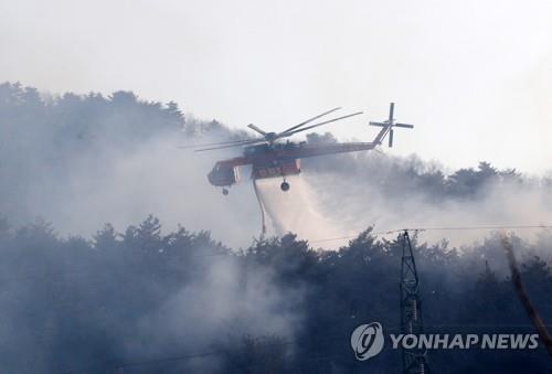 청명·한식 앞두고 산불 위험 최고조…강원도, 예방 활동 총력