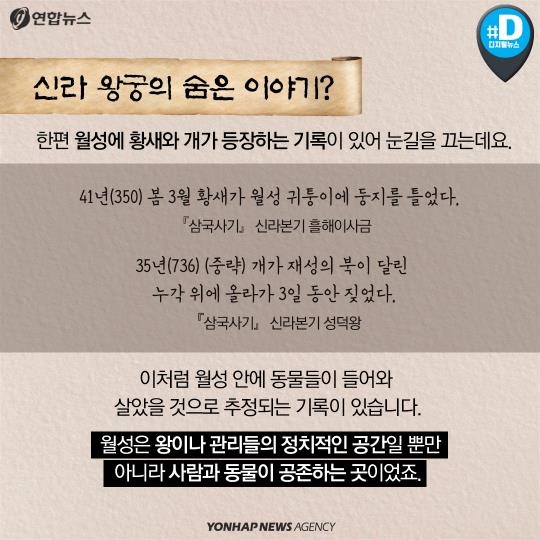 [카드뉴스] 세계유산 신라 왕궁의 담장 너머엔 뭐가 있을까?