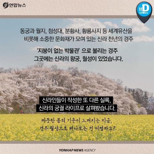 [카드뉴스] 세계유산 신라 왕궁의 담장 너머엔 뭐가 있을까?