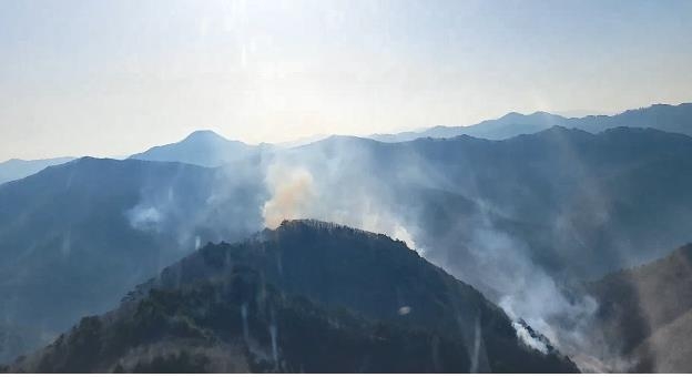 경북 봉화 야산에 불…0.5㏊ 안팎 소실