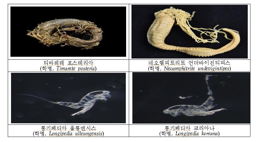 해수부, 우리 해역서 5년간 해양생명자원 2천917종 확보