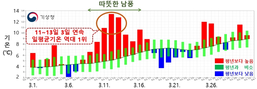 지난달 평균기온 7.7도, 역대 3번째로 따뜻…봄꽃도 빨리 폈다