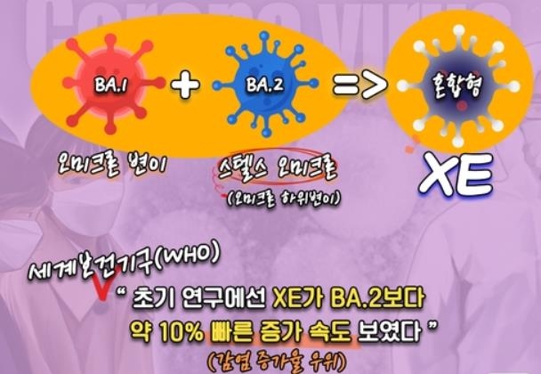 인도서도 오미크론 재조합 변이 XE 감염 첫 확인…당국 '긴장'