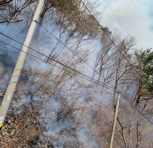 경북 봉화 산불 2시간여 만에 진화…"산림 피해 조사"(종합)