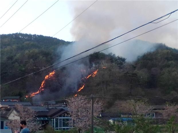 울산 울주군 야산서 불…산림 0.5㏊ 태우고 진화