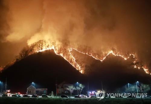 산림청 "양구 산불 진화율 95%…오전 중 주불 진화 목표"