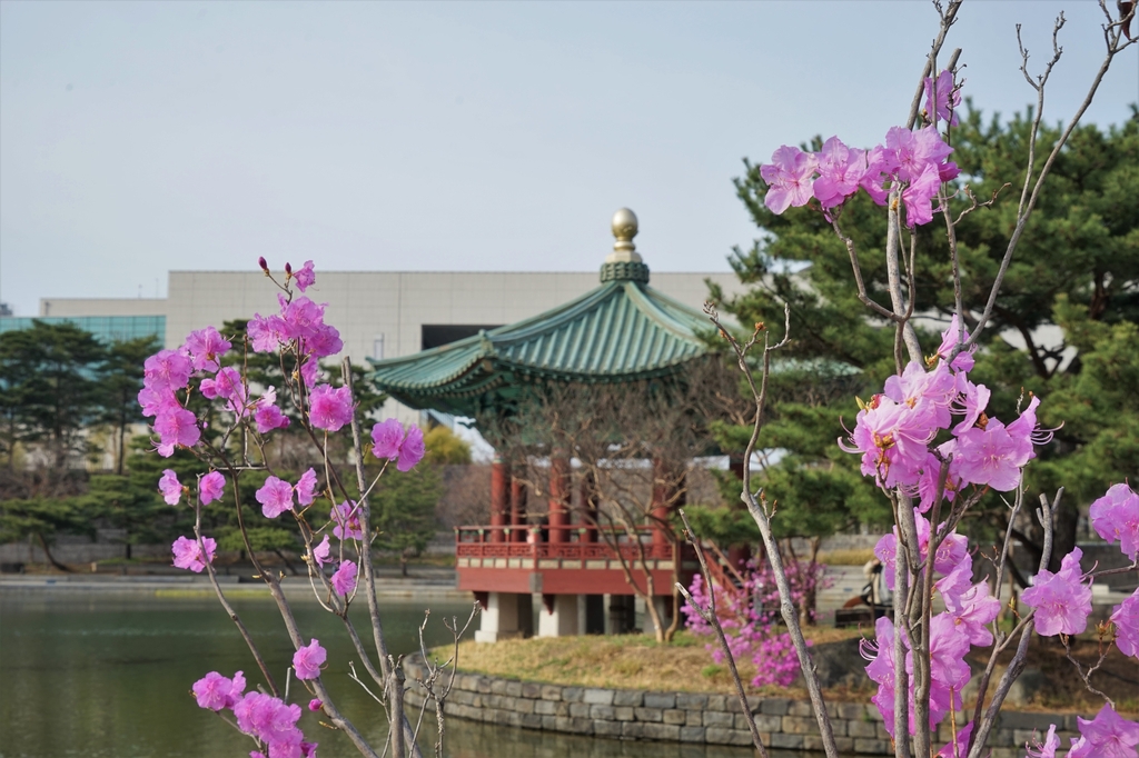 "봄꽃 만발한 국립박물관 오세요"…다양한 전시·문화행사