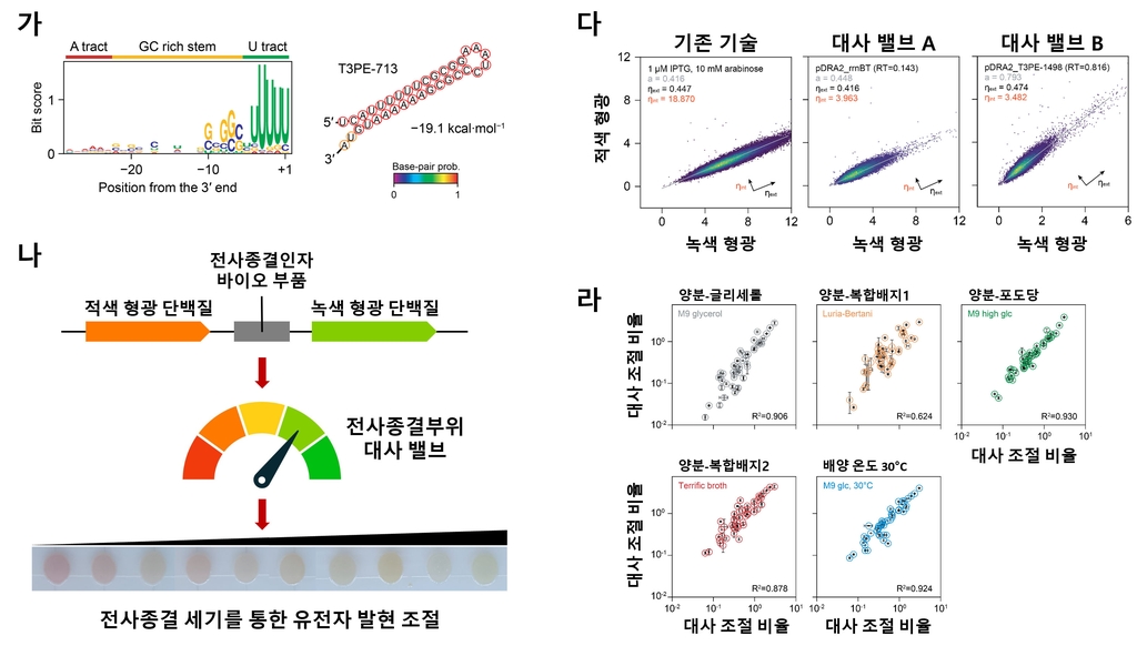 "바이오화합물 효율적 생산"…수도꼭지 틀 듯 미생물 대사 조절