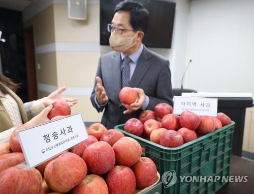 가짜 청송사과 홈쇼핑 등서 판매…'박스갈이' 수법도(종합)