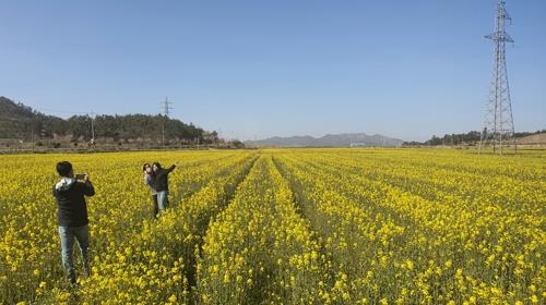 전남 유기농생태마을 100곳으로 늘리고 연매출 1천억 목표