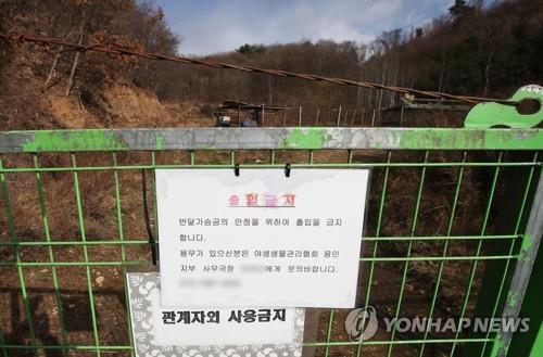 용인 사육장 탈출 반달곰 마지막 1마리, 야산서 포획돼 사살