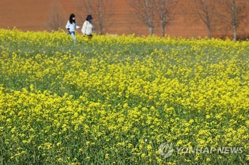 전북 구름 많고 일교차 커…낮 최고 19∼22도