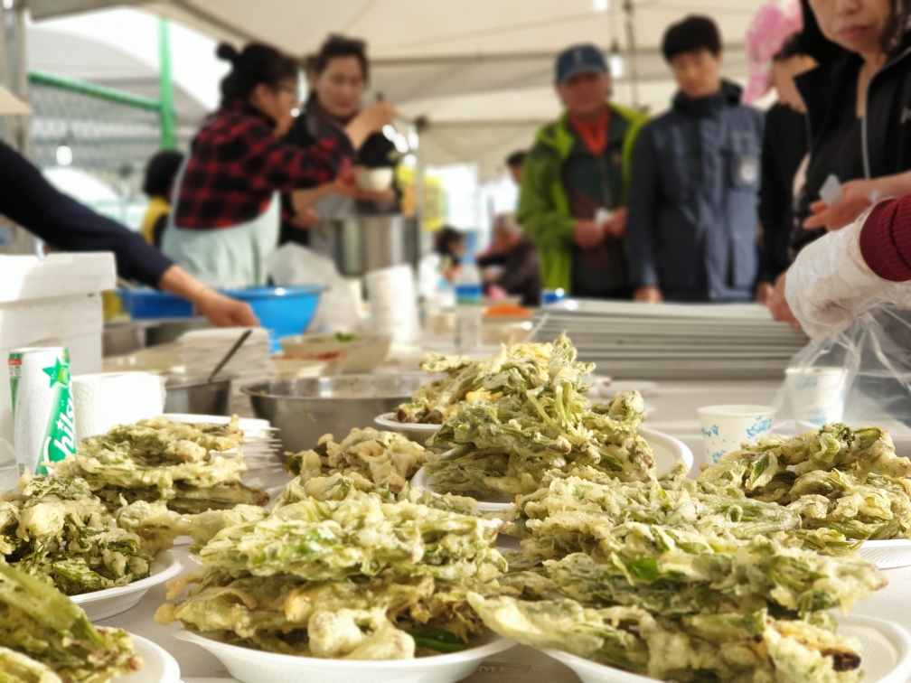 옥천군 "참옻축제 대면 행사 병행…지역경제 살리기 차원"