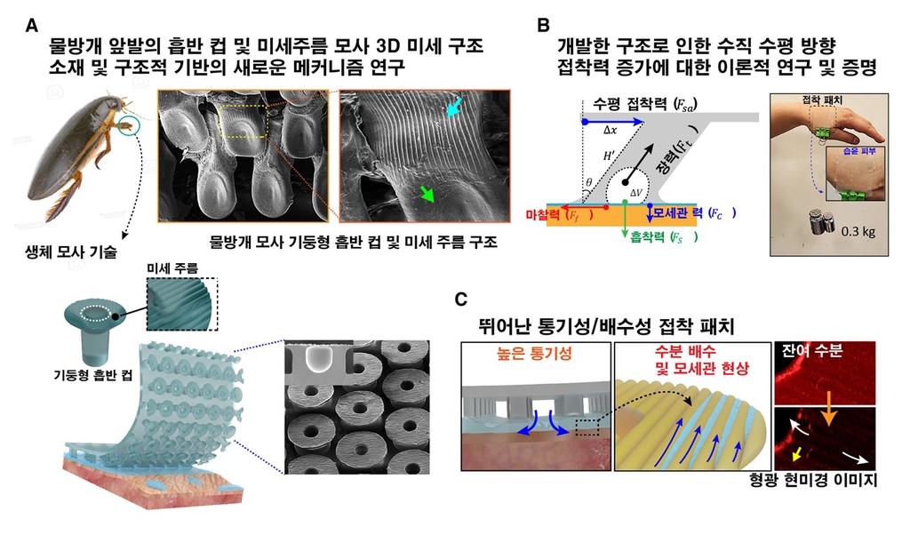 물방개 앞발 구조 모방…생체신호 측정 전자패치 접착력 향상