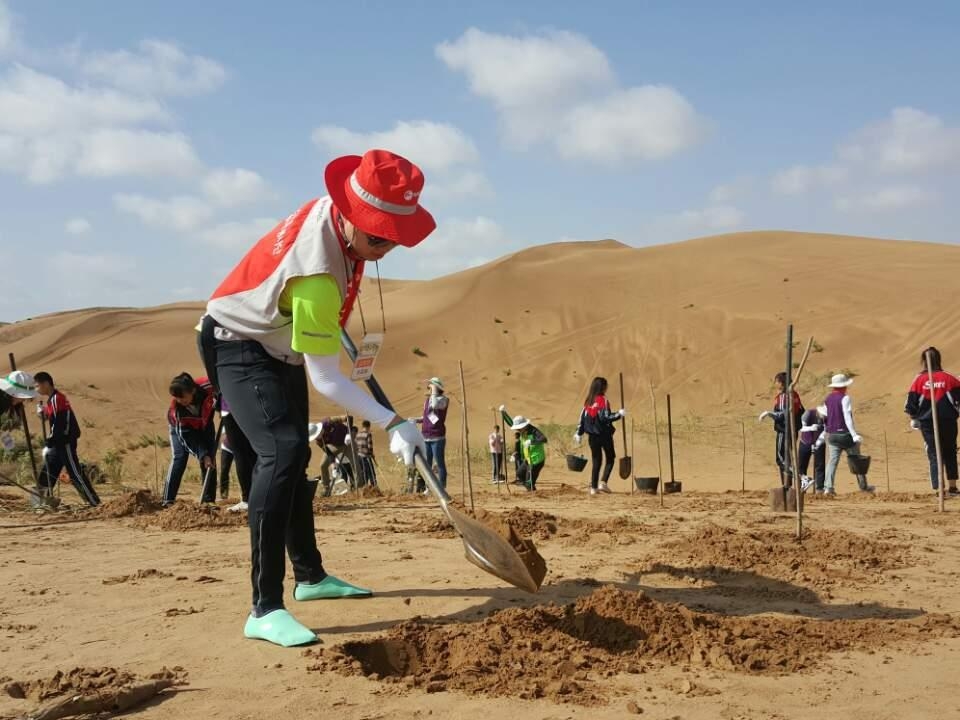 BC카드, 동북아 사막에 '잠실야구장 25개 규모' 숲 조성한다