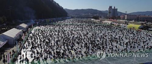 화천산천어축제 재개 '청신호' 준비 돌입…산천어 171t 공급계약