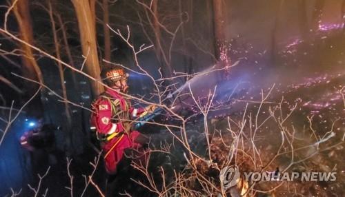 대구 월성동 야산 불…소방드론 등 투입