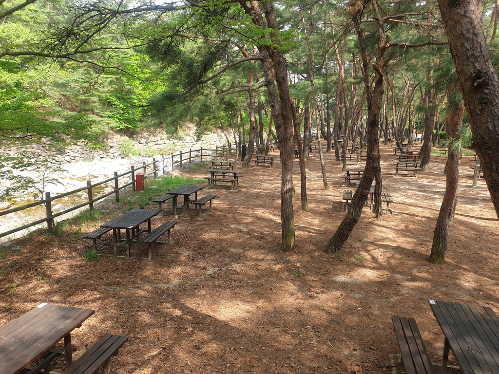 "숲과 계곡을 동시에 즐겨요" 월악산 덕주피크닉존 재개방