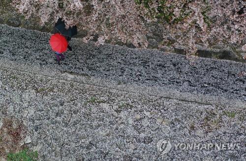 강원 오전까지 비…오후부터 차차 맑아져