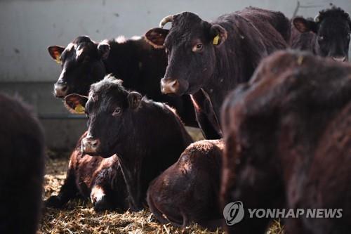 지구온난화 억제 목표 달성하려면 육류 소비 75% 줄여야