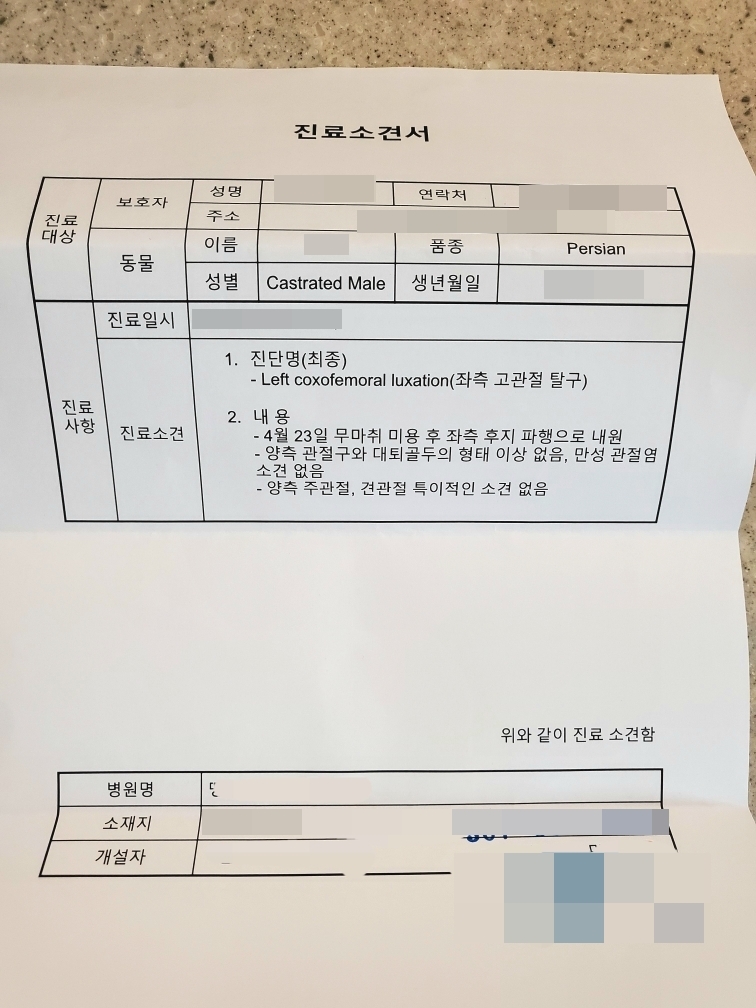 [OK!제보] 반려동물 미용 사고, 의료비 보상 어떻게 받나요?