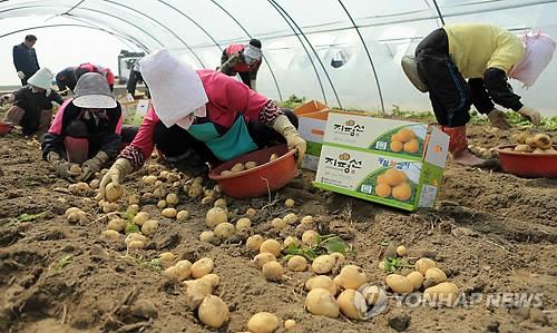 김제시, 내달부터 금산사 등지서 농산물장터 20차례 운영