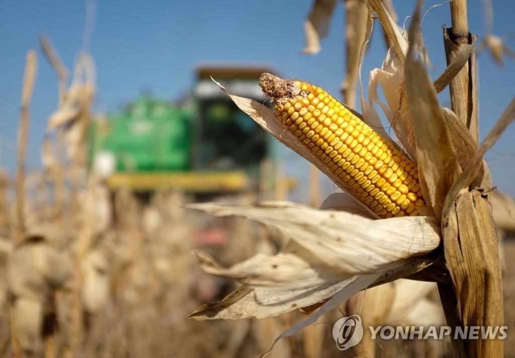 '애그플레이션' 본격화…옥수숫값, 9년만에 8달러 넘어