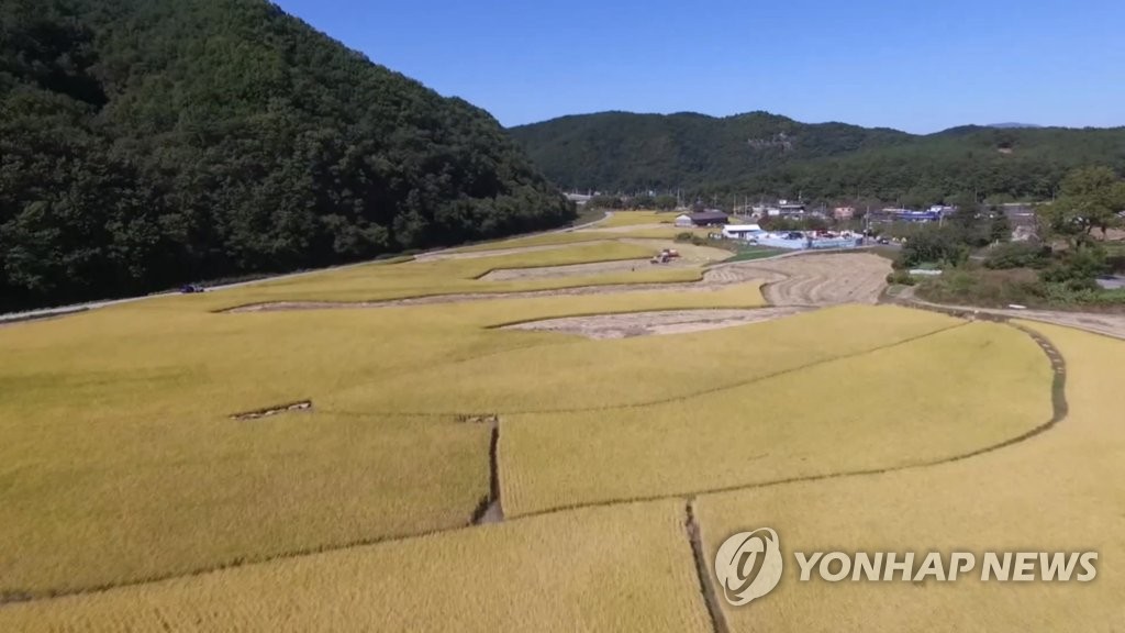 농촌인구 절반 가까이 65세 이상…고령인구 비율 47%, 역대 최고