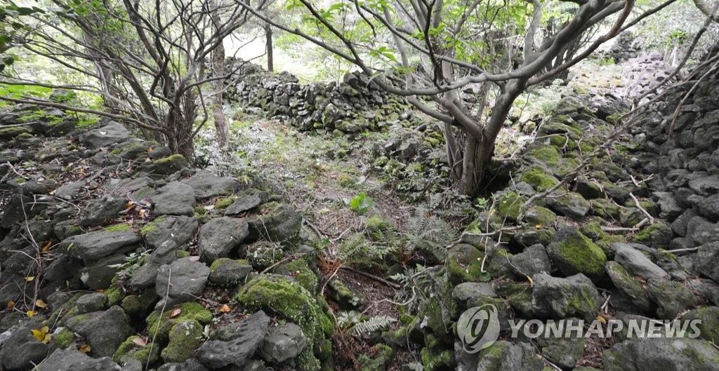 제주4·3 유적지 중 유일한 문화재 '수악주둔소' 정비 추진