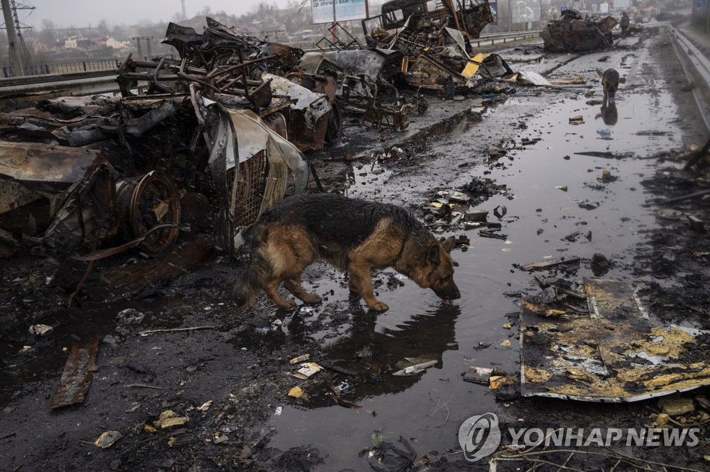 [월드&포토] 우크라이나 부차 '집단학살'