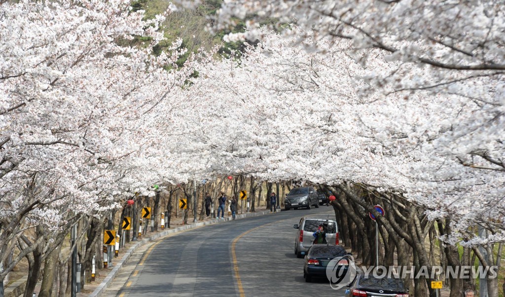 대구 팔공산 동화사 인근서 산불…진화 중