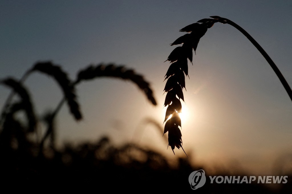 [특징주] 곡물값 급등에 사료 관련주 '급등'