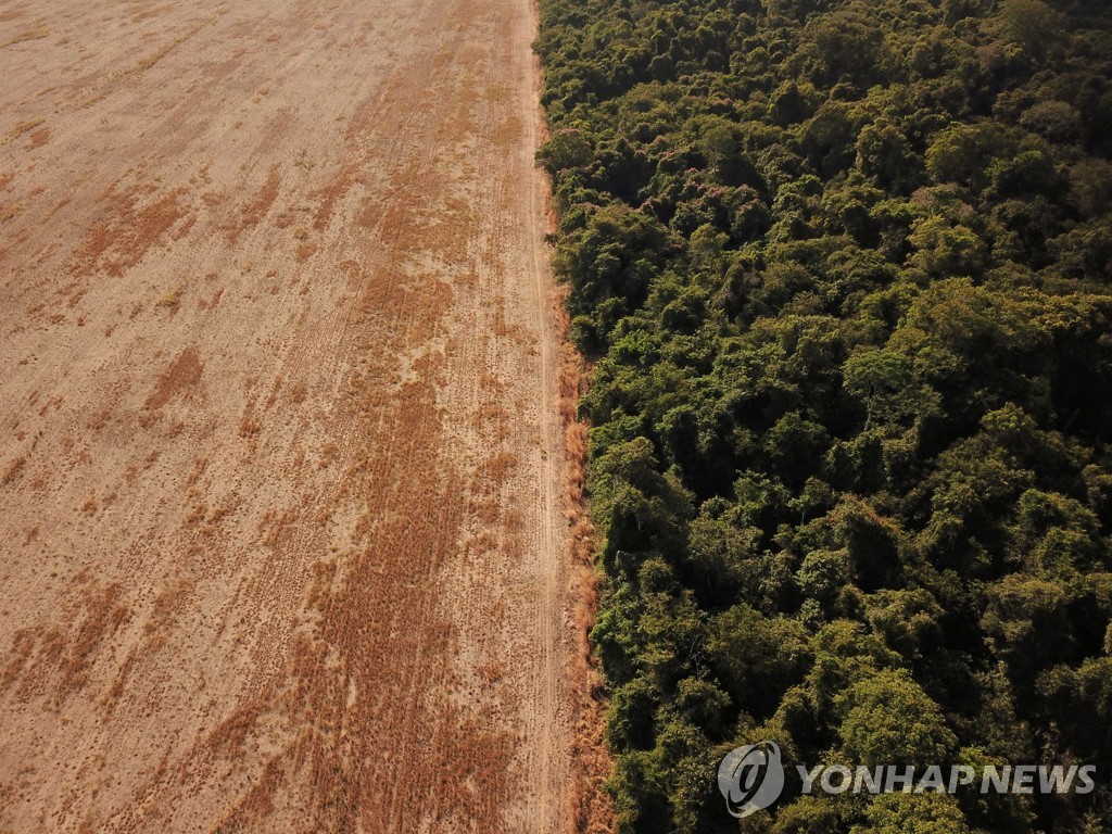 "곤충 종말론…기후변화·토지남용에 세계곳곳 생태계 붕괴"