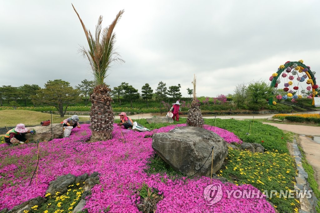 함평나비축제 29∼5월 8일…3년 만에 재개