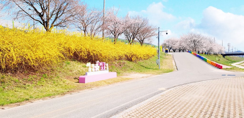 장기간 방치 원주 부론면 '두꺼비캠핑장' 수변공원으로 변신