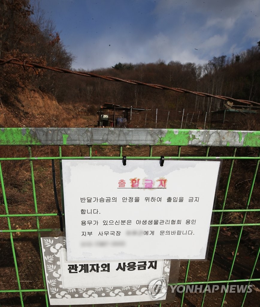 6차례 '곰 탈출' 소동 빚은 용인 농장, 다시 주인에게 맡겨진다