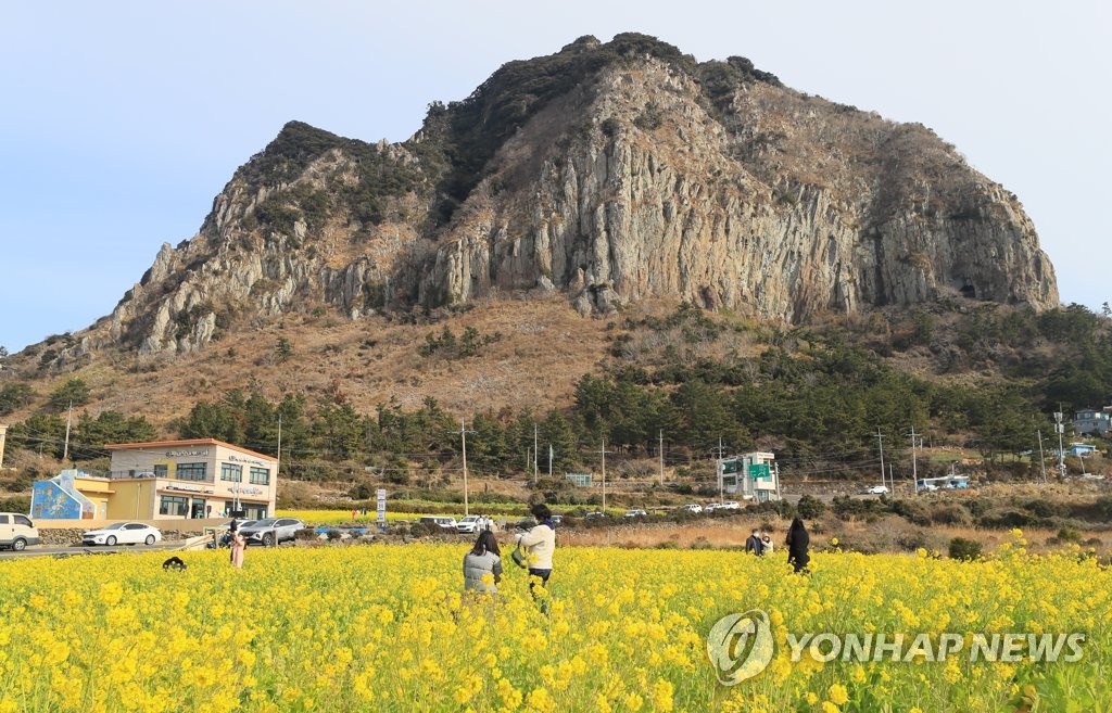 제주 내국인 관광객 신용카드 소비 "코로나19 이전 수준 회복"