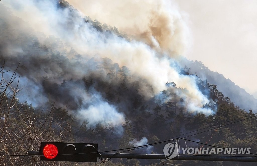 식목일에 강원산지·경북북동산지 강풍…"산불 조심"
