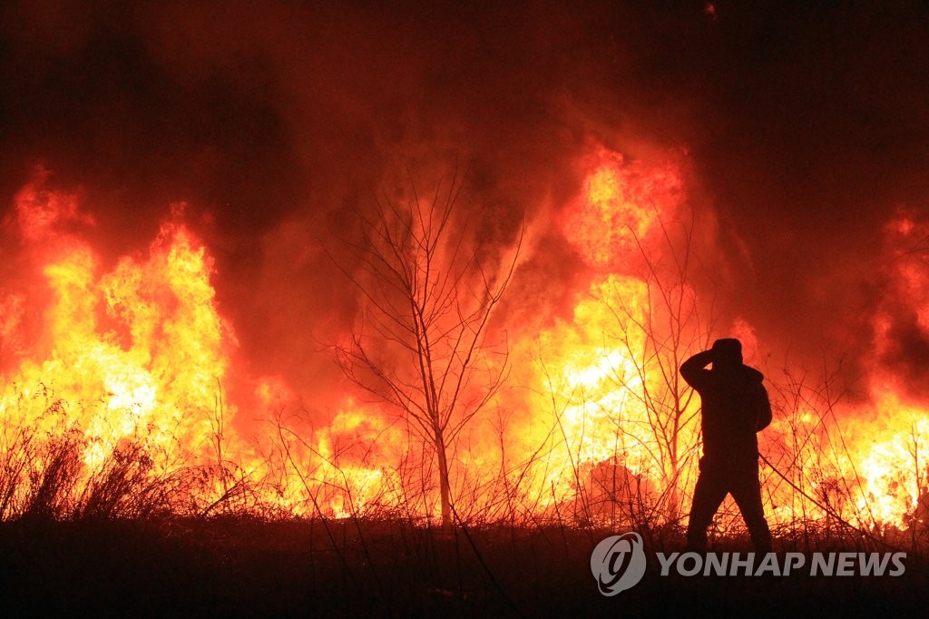 [동해안산불 한달] ⑧ 갈수록 대형화·반복하는 산불 막으려면