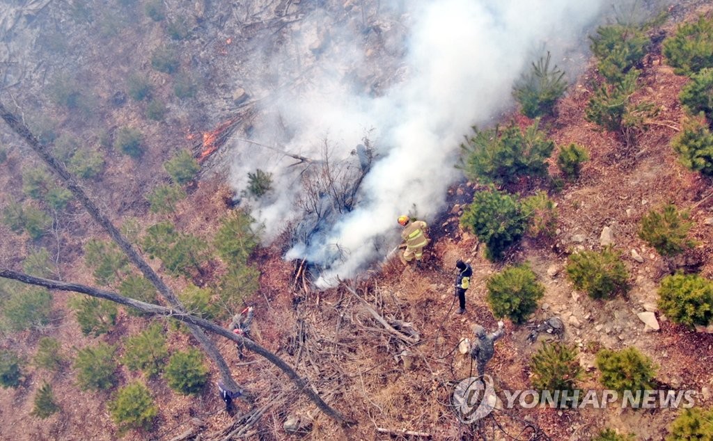 [동해안산불 한달] ⑧ 갈수록 대형화·반복하는 산불 막으려면