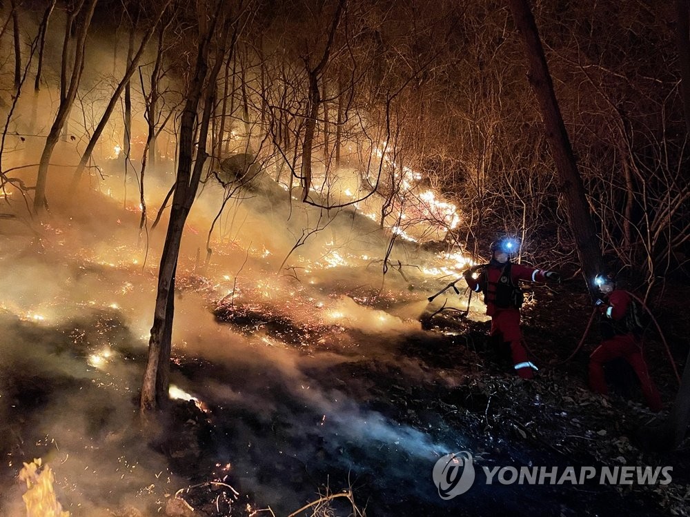 [동해안산불 한달] ⑧ 갈수록 대형화·반복하는 산불 막으려면