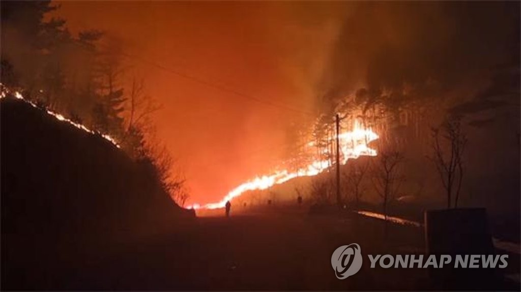 동해안산불 복구에 4천170억원 투입…주택 복구 지원금 51억원(종합)