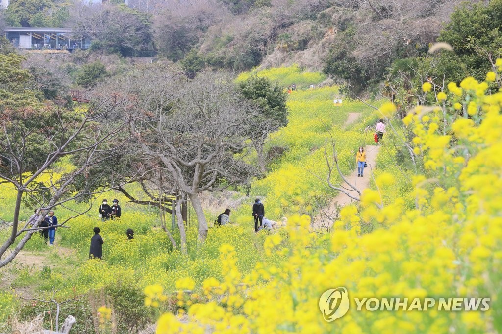 제주 구름 많고 오후 곳곳 빗방울…낮 최고 13∼15도