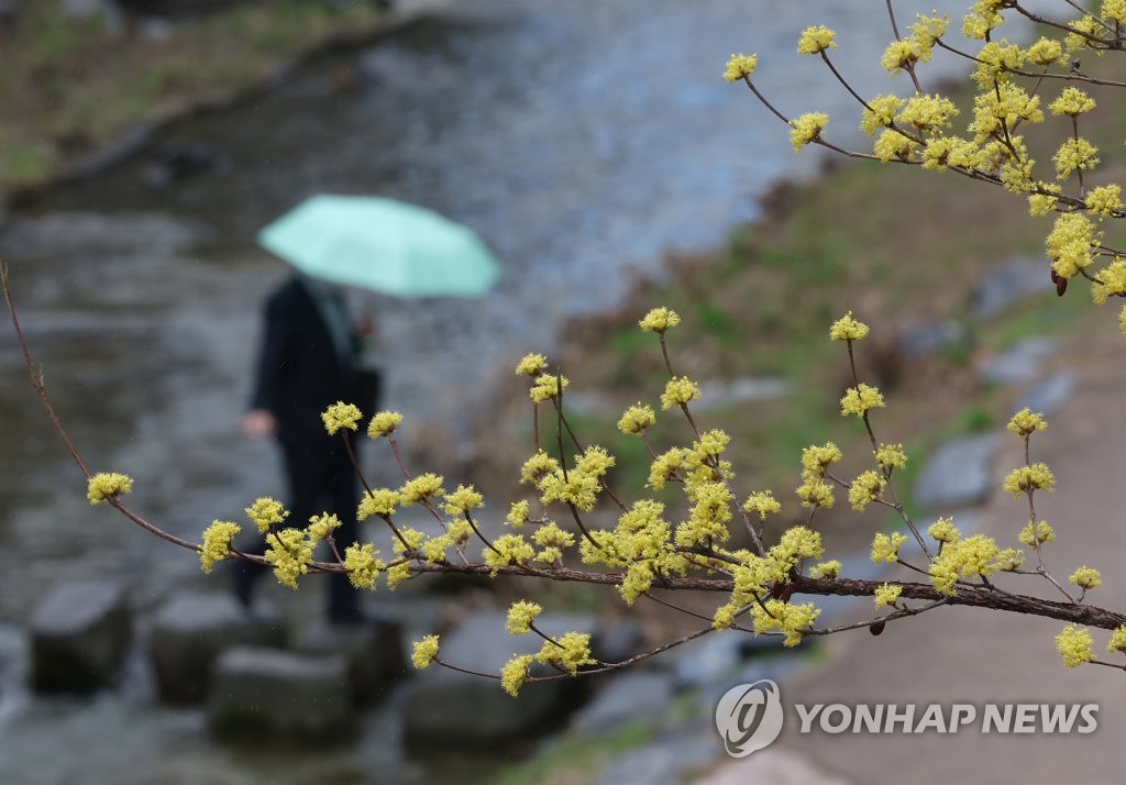 대전·세종 한낮 최고 29도…밤부터 비